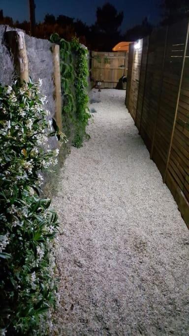 Le Chai De L'Ocean - Studio Avec Jardin Et Terrasse - Plage 300 M 滨海苏拉克 外观 照片